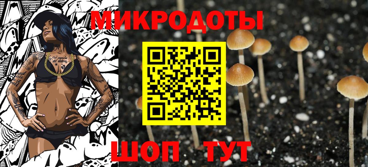 Кашира  Псилоцибиновые грибы GOLDEN TEACHER  Вход с VPN  Псилоцибиновые грибы Psilocybe 